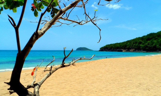 Rifflet Bed & Breakfast | Rose des Vents