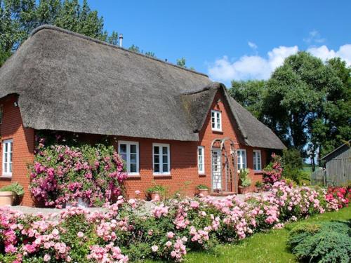 Garding House | Rosenkate