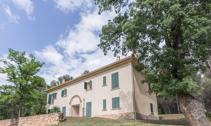 Trillo Apartment | Rural Apartments El Colvillo