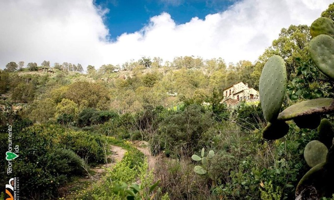 Teror Other | Rural House Las Caldereras