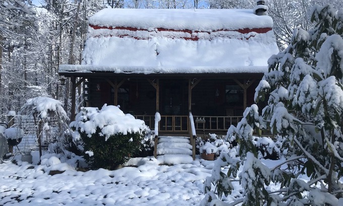 Ellijay Cabin | Rustic River Cabin, trout fishing, dog loving, beach area on secluded 8.5 acres!