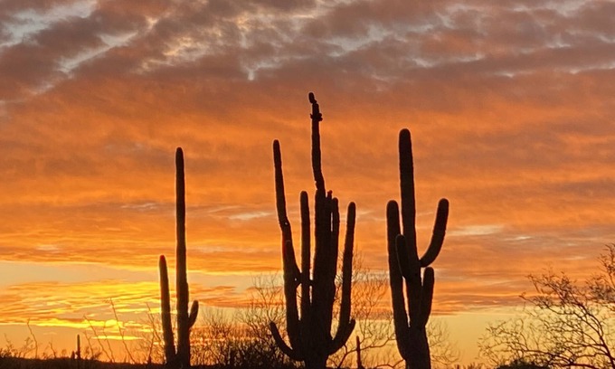 Tucson House | Sabino Canyon Oasis: Where Serenity Meets Adventure
