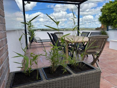 Montargil House | Sabores Alem Tejo 38