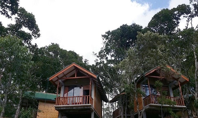 Ella Bed & Breakfast | Saffron Eco Cottage
