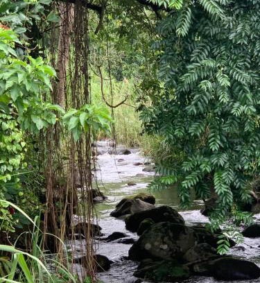 Trois-Rivieres Apartment | Sang-Dragon Lodge