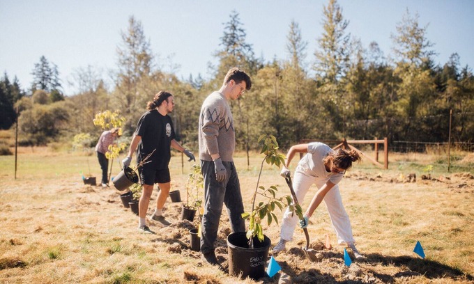 Friday Harbor Bed & Breakfast | Saturn's Return — Regenerative Farm & Inn – 42 acre campus, fields, and forest