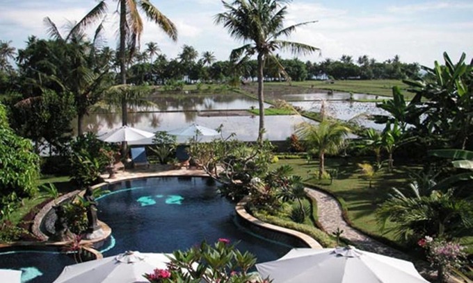 Lovina Resort | Sawah Lovina