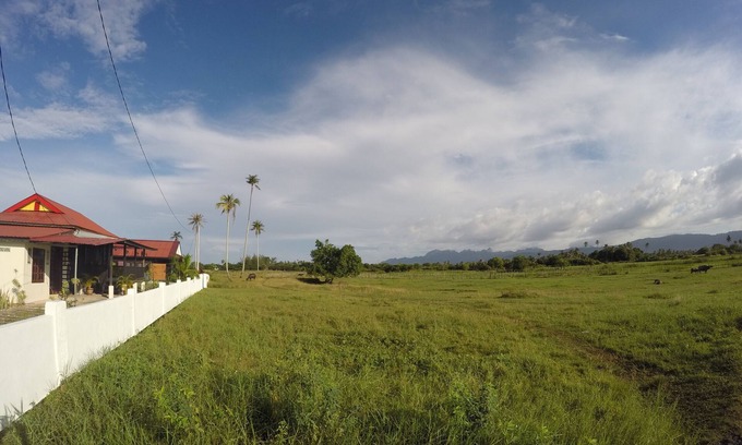 Kampung Kedawang Villa | Sawah Padi Villa - Rice Paddy Field Views