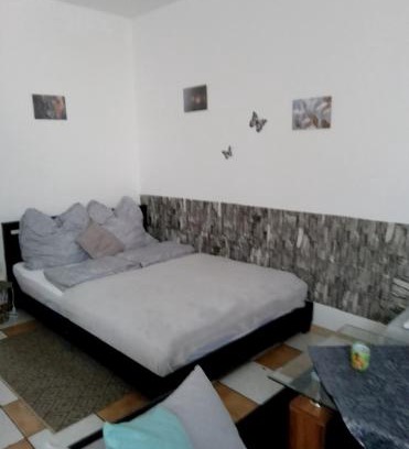 Fraulautern Apartment | Schöne Studiowohnung, renoviert, zentrale Lage