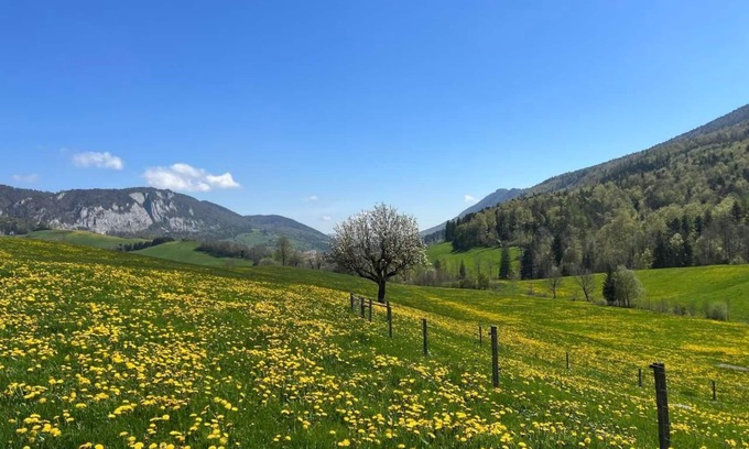 Gansbrunnen Other | Schafmatthof 1 upper floor