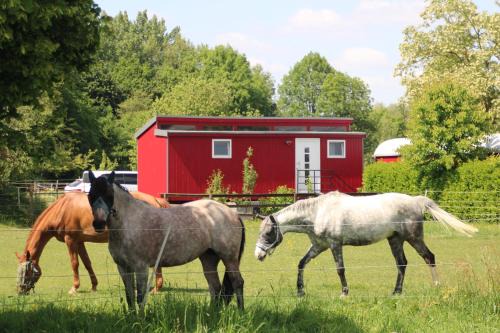 Xanten House | Schlafwagen Domblick Moerenhof Xanten