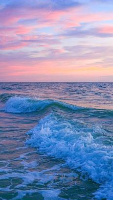 Indian Shores Apartment | Sea Club Condo #37