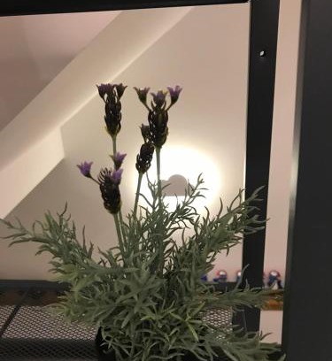 Wujie House | Season Inn