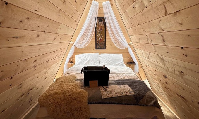 Vavenby Cabin | Secluded and luxurious Viking-themed, off-grid cabin in the heart of Wells Gray.