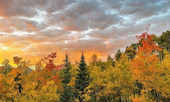 Michigan Hill Cabin | Secluded Aspen Treehouse with Incredible Views