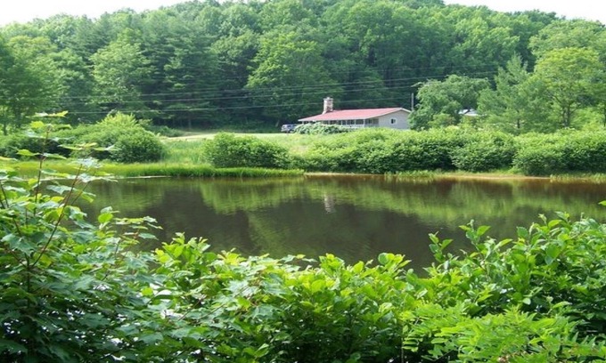 Frank Cabin | Secluded Cabin On Peaceful 100+ Acres with hot tub!