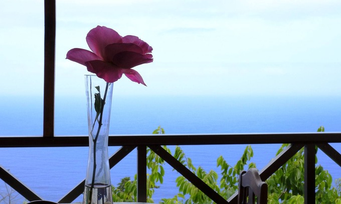 Los Realejos Cottage | Self catering Finca El Biclén for 2 people