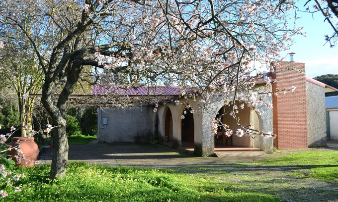 Iglesias House | SEPTEMBER LAST MINUTE IN SARDINIA IMMERSED IN THE GREEN
