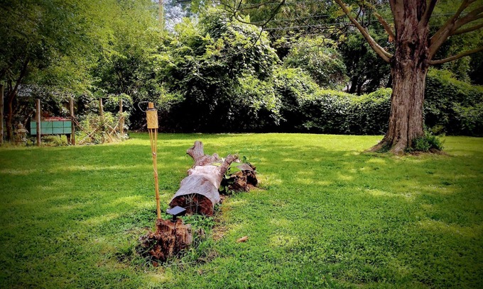 Springfield House | Serene & Comfy, BIG Fenced Yard