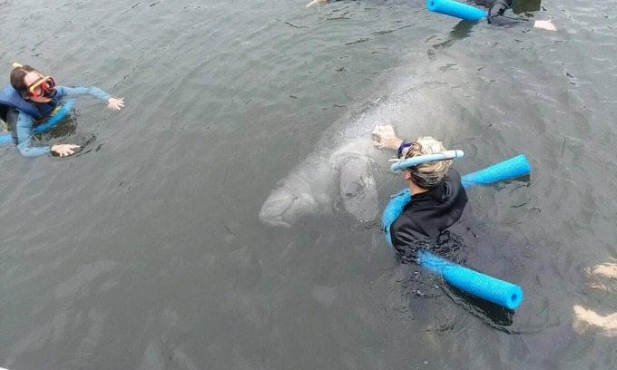 Inverness House | Serene setting with private dock on lake