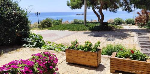 Nea Moudania Apartment | Serene Vintage