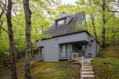 Chestnut Springs House | Serenity Slope with Wintergreen Advantage
