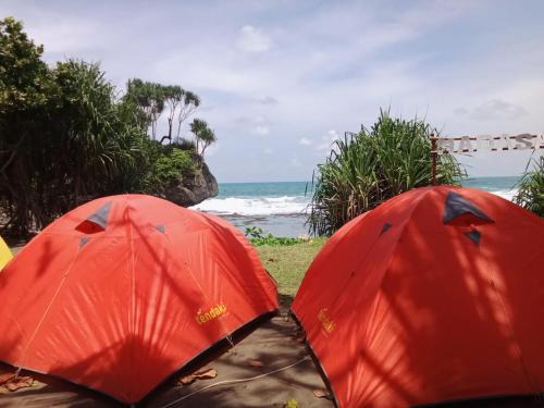 Cimerak Other | Sewa Tenda Pantai Madasari