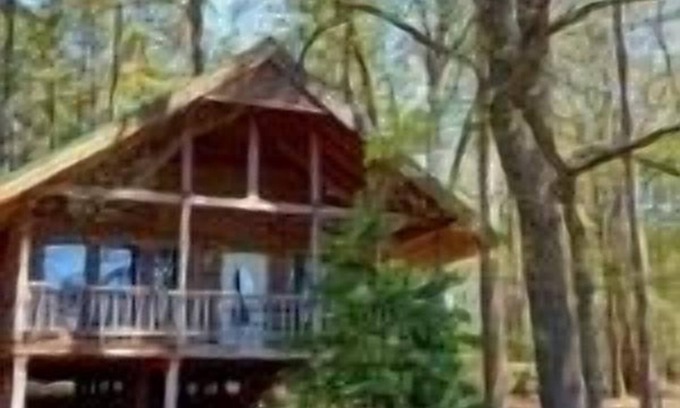 Battiest Cabin | Sierra Escape Cabin with Fire Pit and Charcoal Grill by RedAwning