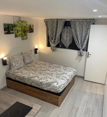 Meyzieu Nord Ouest Apartment | Silver Stuidio ARENA , Stade Groupama , Eurexpo