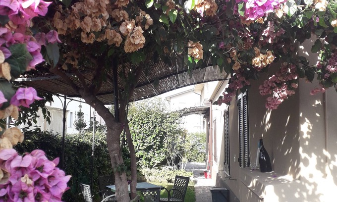 San Benedetto di Lugana Apartment | Simone and Simona apartment, relaxation at Lake Garda