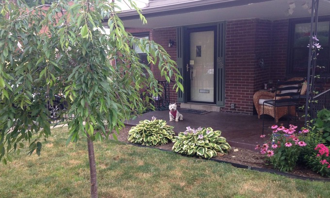 Squirrel Hill South House | Single Family Bungalow Near Universities, Hospitals- Long / Short term