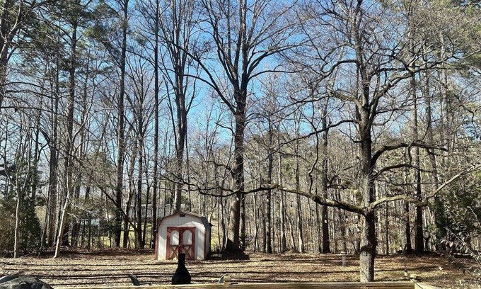 Littleton House | Single-Wide Stunner: Lake Access, Recreational Park, Super Cozy, Dog Friendly!