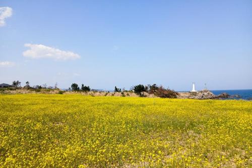 Pohang Other | Sinpo Port TITF Caravan