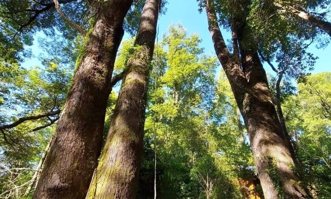 Los Angeles Apartment | Sister Vicenta Suites