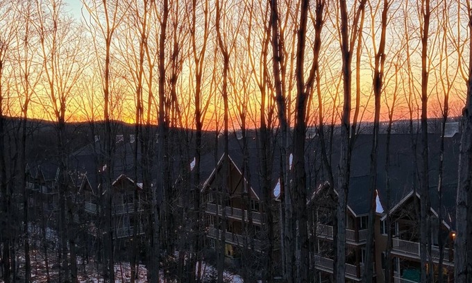 Bromont Condo | Ski-Bike - Magnifique condo en montagne… Votre maison dans les arbres!!!