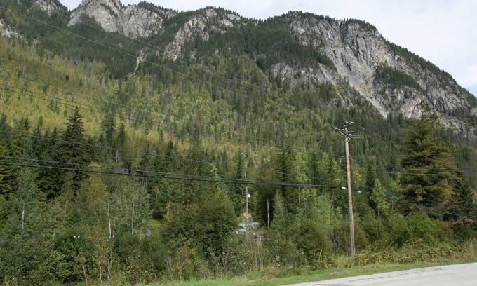 Revelstoke Apartment | *SLED-IN, SLED-Out* Sledder's Getaway