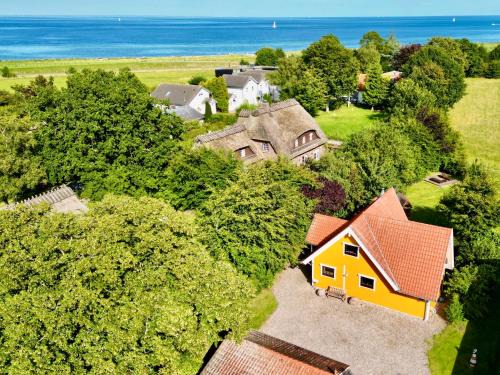 Falshoft House | Sonnenblumenhaus