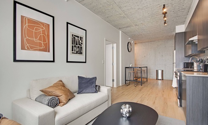 The Loop Apartment | South Loop | Rooftop With In & Out Parking