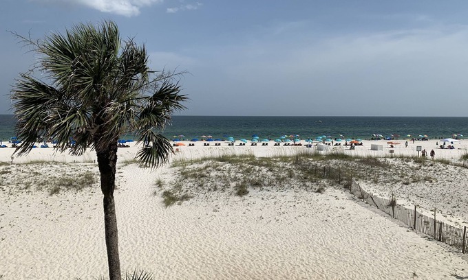 Gulf Shores Condo | Southern Sands 206/Beach Front/Dolphin watching from the balcony!