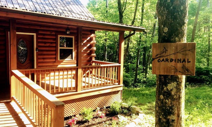 New Plymouth Cabin | Spacious Log Cabin with Hot Tub, Fire Pit, Large Decks & Wood Fireplace