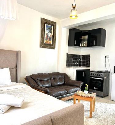 Kisumu Apartment | Spacious studio Apt Milimani