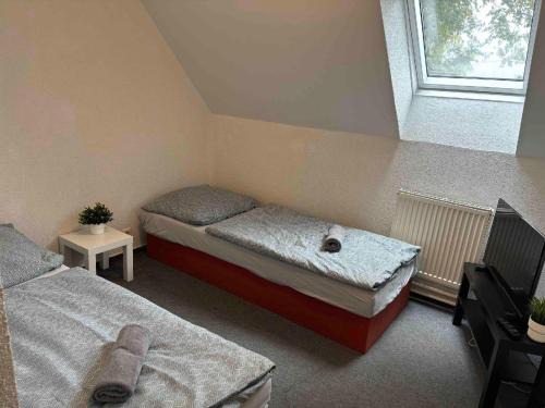 Golcuv Jenikov House | Sport centrum na hřišti