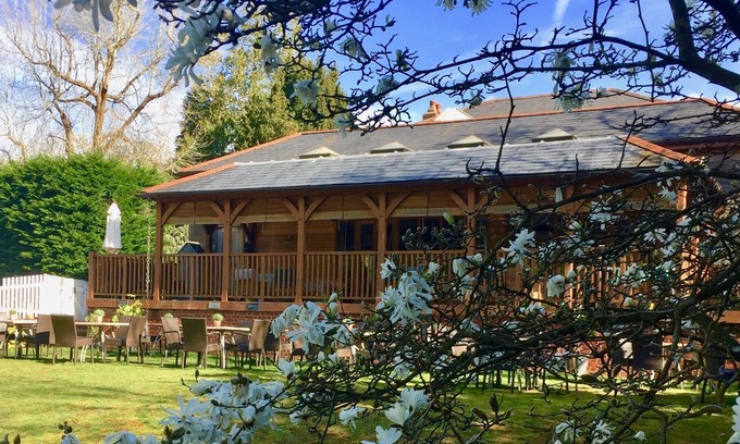 New Forest District Hotel | Spot In The Woods