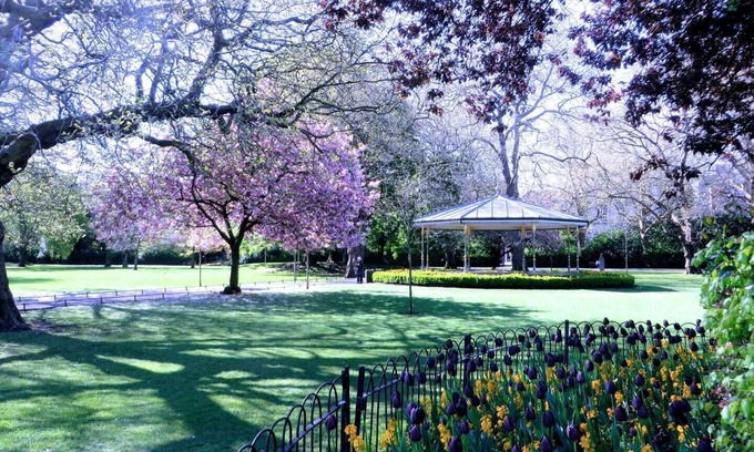 City Centre Dublin Apartment | St Stephen Green Studio Apartment