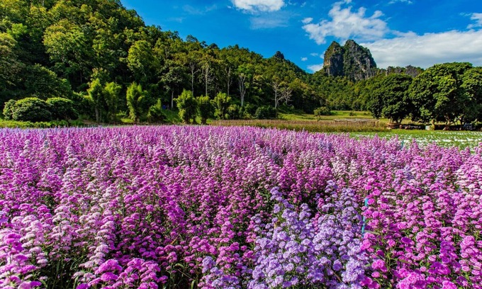 Chiang Dao RV Rental | Stargazing Glamping Dome in Chiang Mai