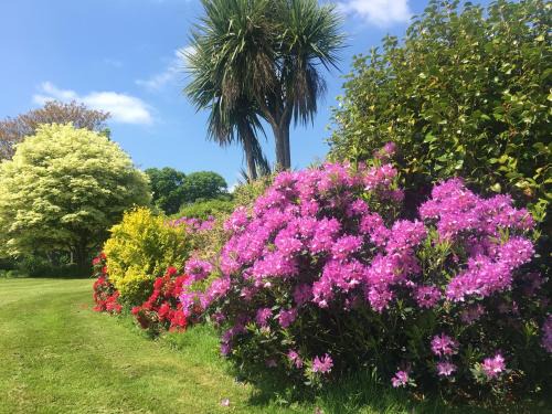 Wimborne Apartment | Stay on the grounds of this beautiful Manor house