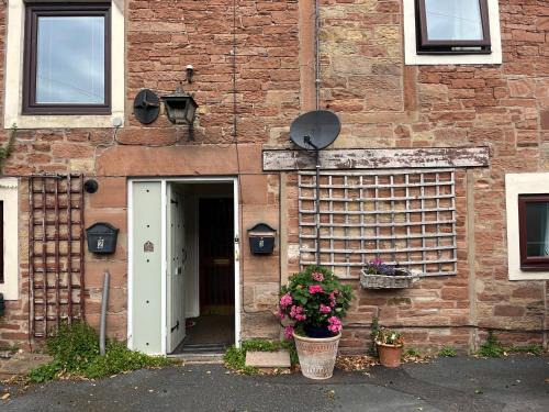 Dalston Apartment | Stay Still Indian Court
