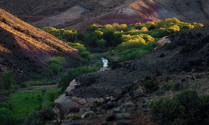 Newark House | Step up your stay at our boutique Newark, California