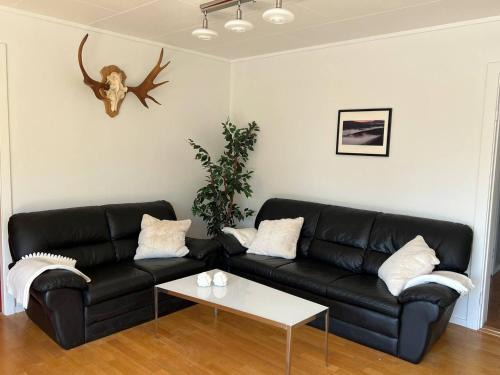 Kongsvinger Apartment | Stor leilighet på Finnskogen - stillhet og ro