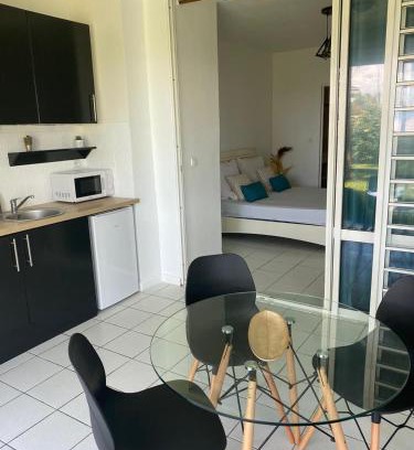 Pointe-a-Pitre Apartment | Studio 18